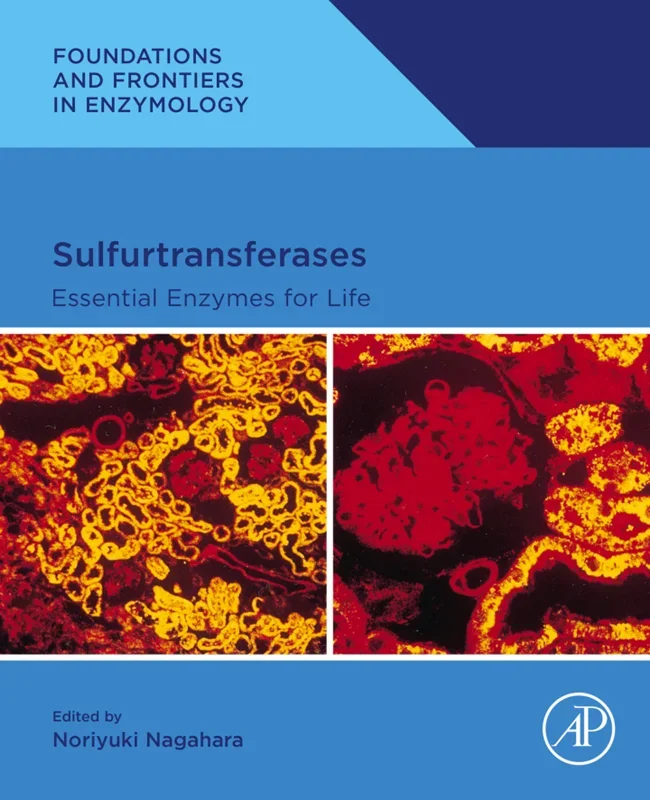 Sulfurtransferases: Essential Enzymes for Life
